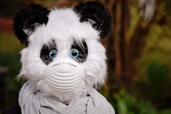 Casino Volcano Bingo Podrška